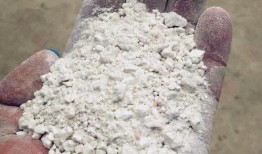 红薯淀粉最新爆料,揭秘行业最新爆料与未来趋势